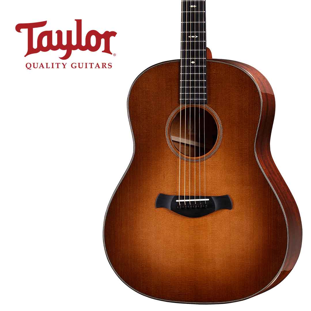 Taylor 테일러 517E WHB Builder&#039;s Edition