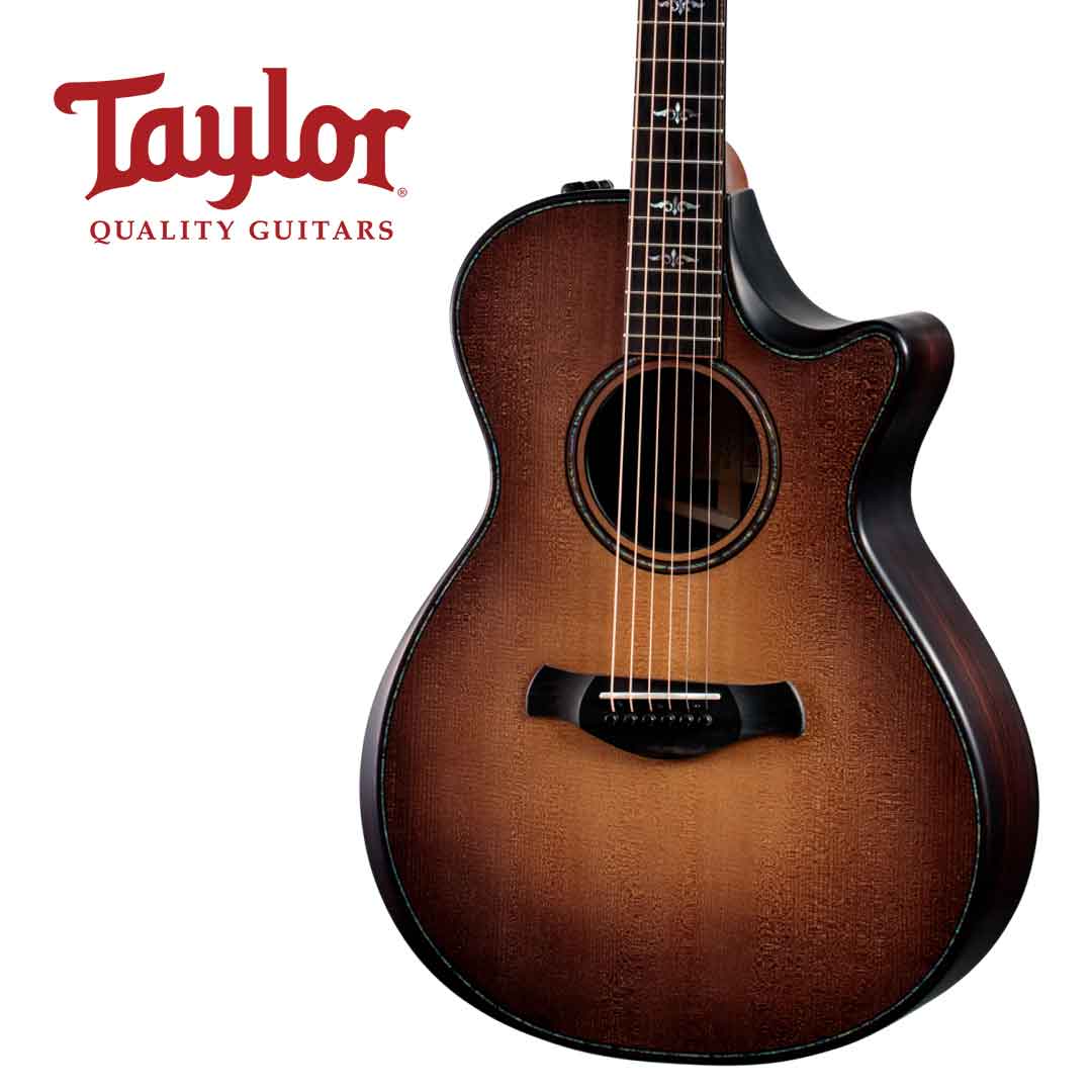 Taylor 테일러 912CE WHB Builder&#039;s Edition